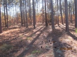 123 Chesterfield Drive Forest Southern Pines, NC 28387 - Image 1407433