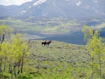 TBD HIWAY 14, WALDEN CO Walden, CO 80480 - Image 1408068