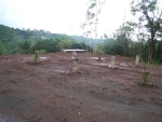 Pr 5568 Int Condes Comm Cuchilla Bo Cuchillas Morovis, PR 00687 - Image 1408050