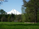 4700 Leasure Dr Mount Hood Parkdale, OR 97041 - Image 1411243