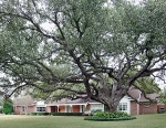 1305 Shady Lane Hondo, TX 78861 - Image 1412125