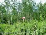 2728 S Walnut Wood Drive Big Lake, AK 99652 - Image 1414861