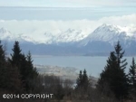 310 FIREWEED Avenue Homer, AK 99603 - Image 1415319