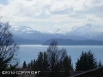 167 E Danview Ave & 4135 Calhoun St. Homer, AK 99603 - Image 1415318