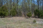 50 Roden Mill Road Conway, AR 72032 - Image 1417718