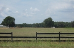 Lot 9 Buck Horn Estates Conway, AR 72032 - Image 1417719