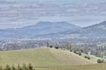 1165 Debbie Hill Rd Cotati, CA 94931 - Image 1419224