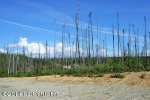 L21 B3 W Glacier Peak Drive Wasilla, AK 99654 - Image 1422676