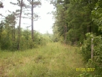 53.68 Acres Rover, AR 72860 - Image 1425776