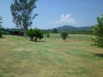 1190 Highway 240 W Caddo Gap, AR 71935 - Image 1432455