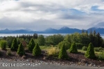 924 Quiet Creek Drive Homer, AK 99603 - Image 1432846