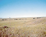 Weld County Road 126.5 Carr, CO 80612 - Image 1441384