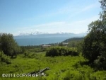 40915 Crested Crane Street Homer, AK 99603 - Image 1442463