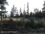 1233 EAGLE VIEW Drive Homer, AK 99603 - Image 1442535