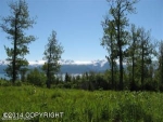 L1A Maria Road Homer, AK 99603 - Image 1442538