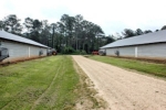 1048 William Warren Collins, MS 39428 - Image 1443466