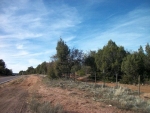 Lot 18B Hwy 260 Payson, AZ 85541 - Image 1444365