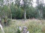 23199 E Knik River Road Palmer, AK 99645 - Image 1444721