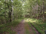 90 AC POPLAR ROAD Silver Point, TN 38582 - Image 1445436