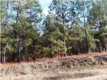 0 River Rd Titus, AL 36080 - Image 1445663