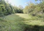 0 Brittontown Road Afton, TN 37616 - Image 1445765