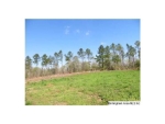 COLVIN RD 75 AC Lincoln, AL 35096 - Image 1446451