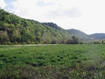 4380 Jennings Creek Hwy Whitleyville, TN 38588 - Image 1446766