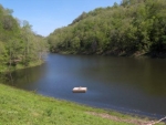 776.15 Ac. Pine Lick Creek Road Whitleyville, TN 38588 - Image 1446768