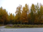 6520 N Bush Road Palmer, AK 99645 - Image 1446998