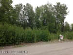 6091 N Canyon Bluff Circle Palmer, AK 99645 - Image 1446999