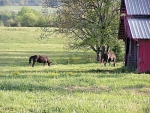 Jacks Branch Rd. Spencer, TN 38585 - Image 1448399