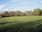 Jacks Branch Rd Spencer, TN 38585 - Image 1448400