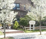 141 Wyckoff Pl #1A Woodmere, NY 11598 - Image 1453687