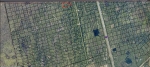 00 SW18 Mims, FL 32754 - Image 1456690