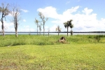 126 EAGLES NEST LN Florahome, FL 32140 - Image 1456954