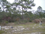 LOT 91 Panacea, FL 32346 - Image 1458926