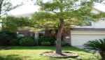 7706 Las Flores Drive Houston, TX 77083 - Image 1460077