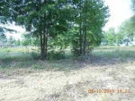 Parcel 2 CR 660 Chancellor, AL 36316 - Image 1460551