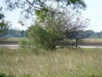 421 Fm 360 Rd Beasley, TX 77417 - Image 1477515