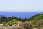 44720 Rosewood Ter Mendocino, CA 95460 - Image 1493839