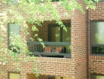 44790 Locust Ridge Ct #841 California, MD 20619 - Image 1499453