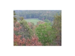 23588 DONALD WRIGHT RD Lincoln, AR 72744 - Image 1505452