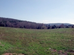 000 CASHDOLLAR COVE RD Walling, TN 38587 - Image 1506390