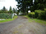 37674 Row River Rd Dorena, OR 97434 - Image 1507169