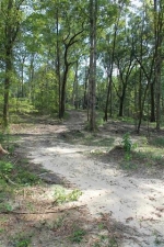 21 Acres Tarpin Circle Chancellor, AL 36316 - Image 1508297