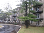 2315 E Olive St Apt 3l Arlington Heights, IL 60004 - Image 1508862