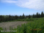 Tr. 3 West Highlands Boulevard Homer, AK 99603 - Image 1509386