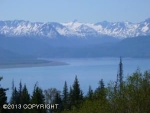 36353 Wild Haven Road Homer, AK 99603 - Image 1509387