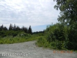 235 Meadow Court Homer, AK 99603 - Image 1509388