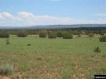 TBD Cty Rd 5270 Concho, AZ 85924 - Image 1513696